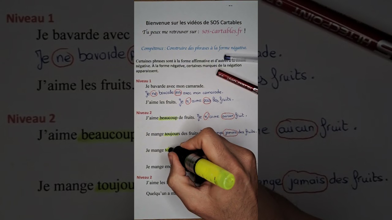 Les phrases à la forme négative 
