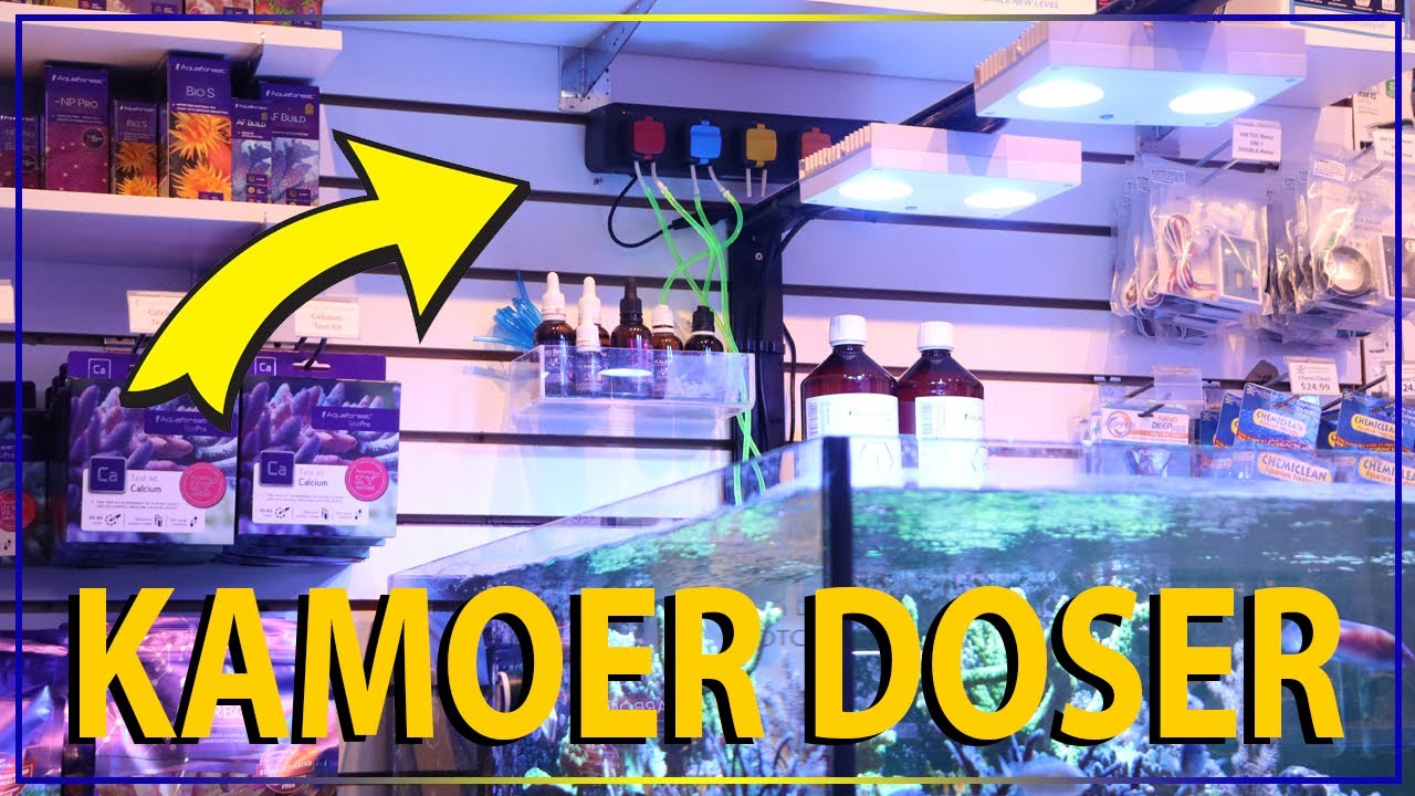 Kamoer X5S Doser Unboxing, Set Up & Review
