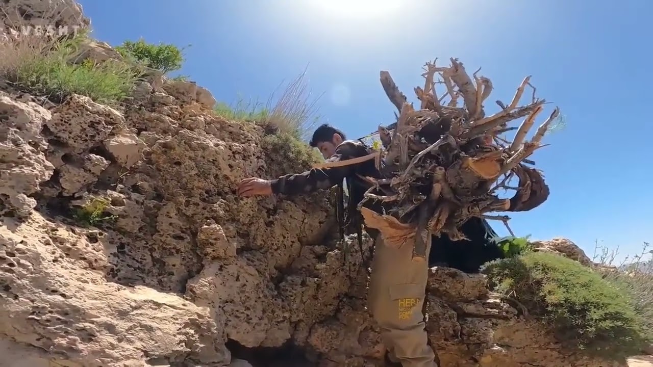 Life in the pristine nature of Iran!