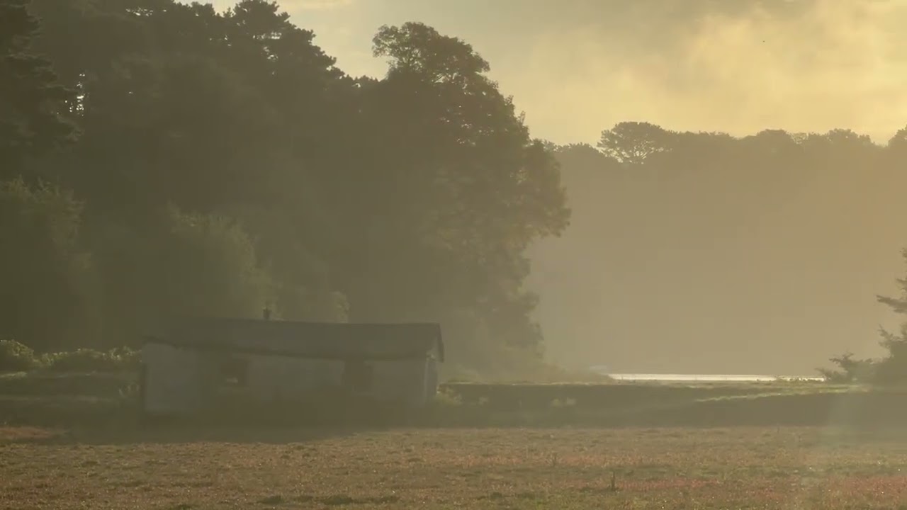 A Chatham Bog