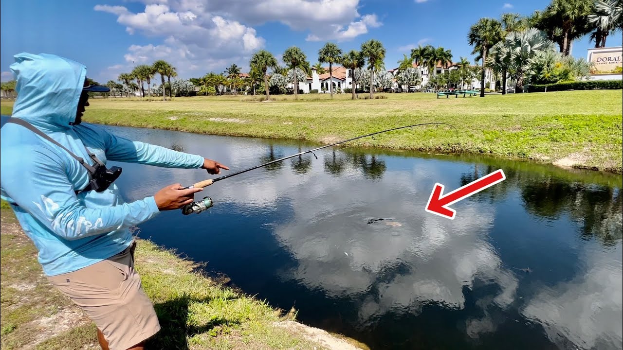 Catching EXOTIC Fish in South Florida! These canals Were Stacked Fish!