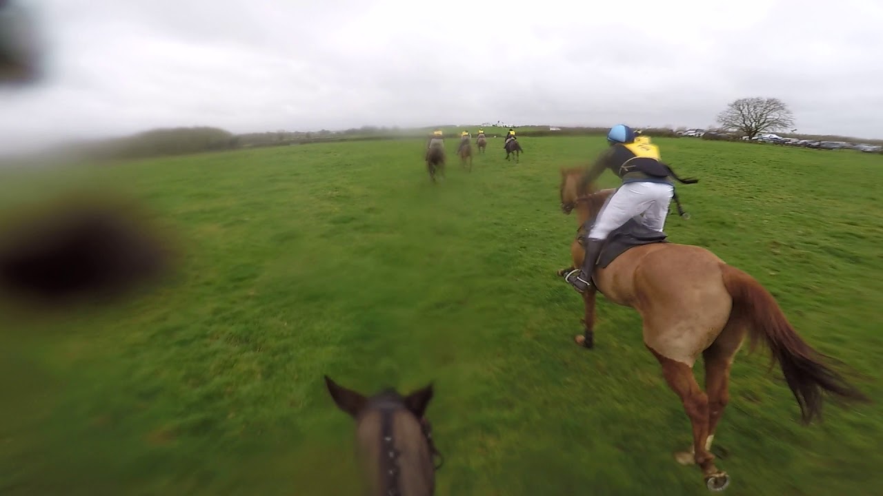 Old Berks Hunt race