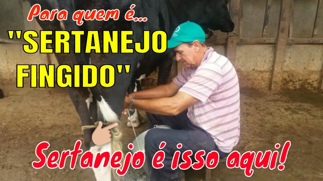 SERTANEJO FINGIDO - Ivan Souza & Júlio César
