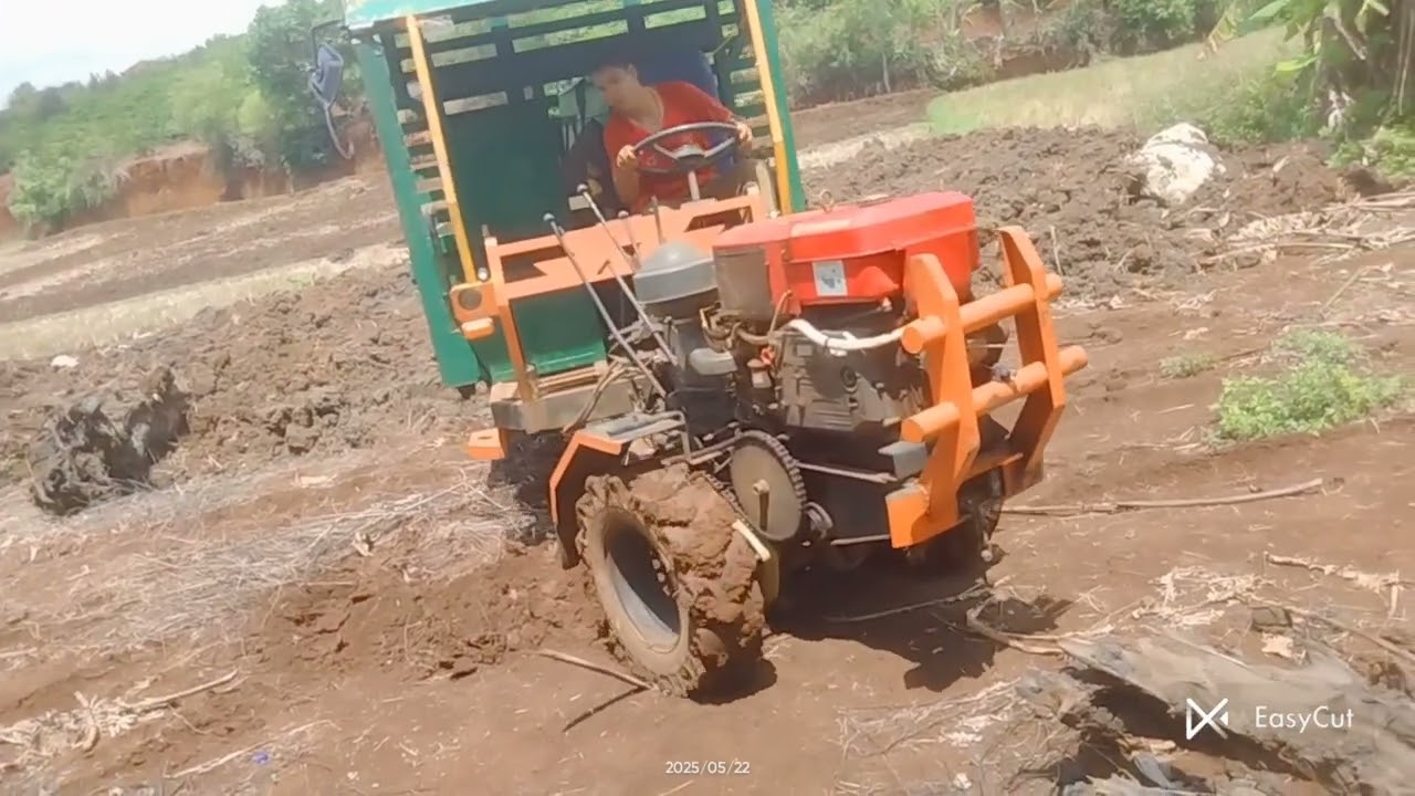 Đã kéo bộ rễ đẹp về nhà rồi ae