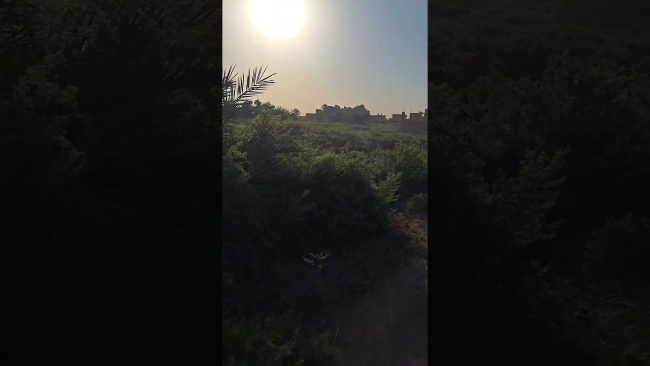 حالات من دير الزور موحسن الصمود😍 جولة صباحية في موحسن❤️ الشاعر أبوملحم الخابوري🥰 أشعار في مهب الريح 