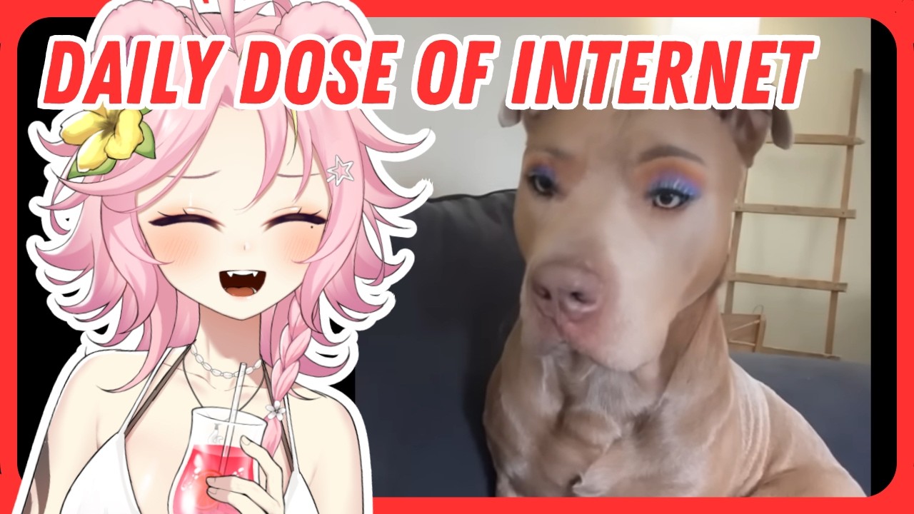 This Daily Dose of Internet Escalated Fast | Maddiekuma Reacts