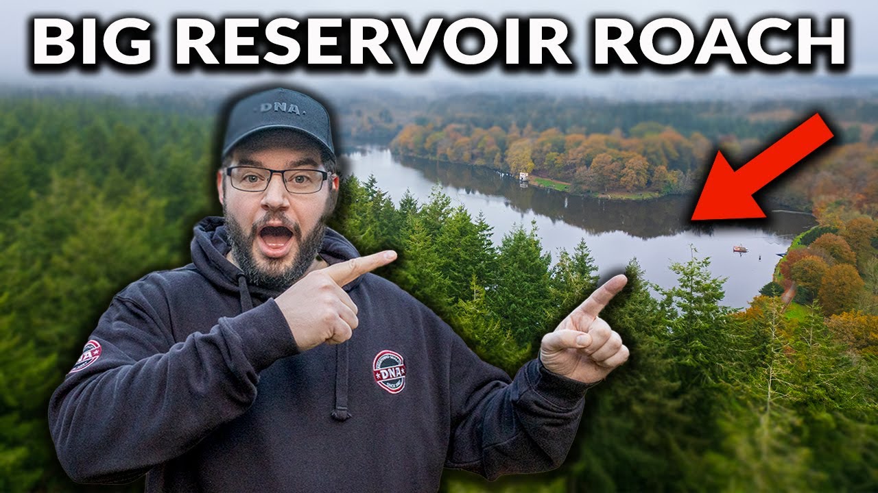 Hunting MONSTER Roach - The BIGGEST Roach I&rsquo;ve Ever Seen 👀
