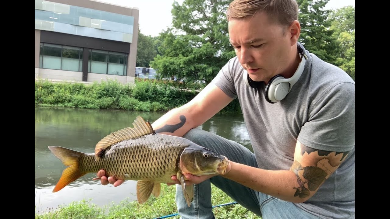 How to Clean a Carp!