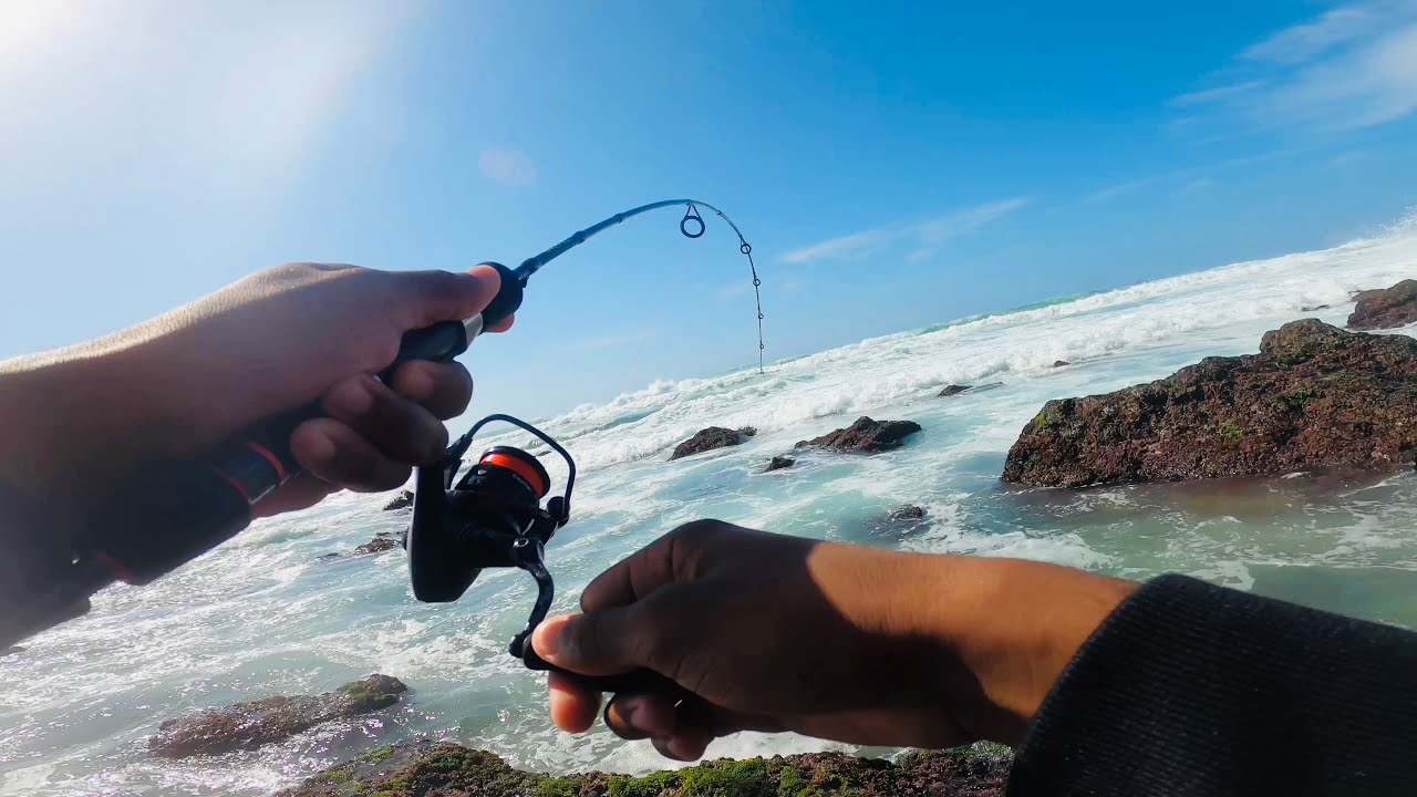 They pull so hard! Ultralight fishing! Rock fishing scratching. KZN Durban
