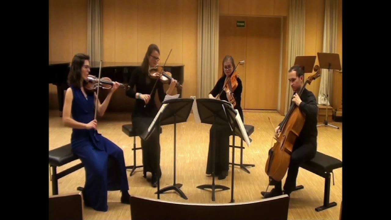 Robin Lynn Hirzel, Schubert  Rosamunde, Allegro moderato