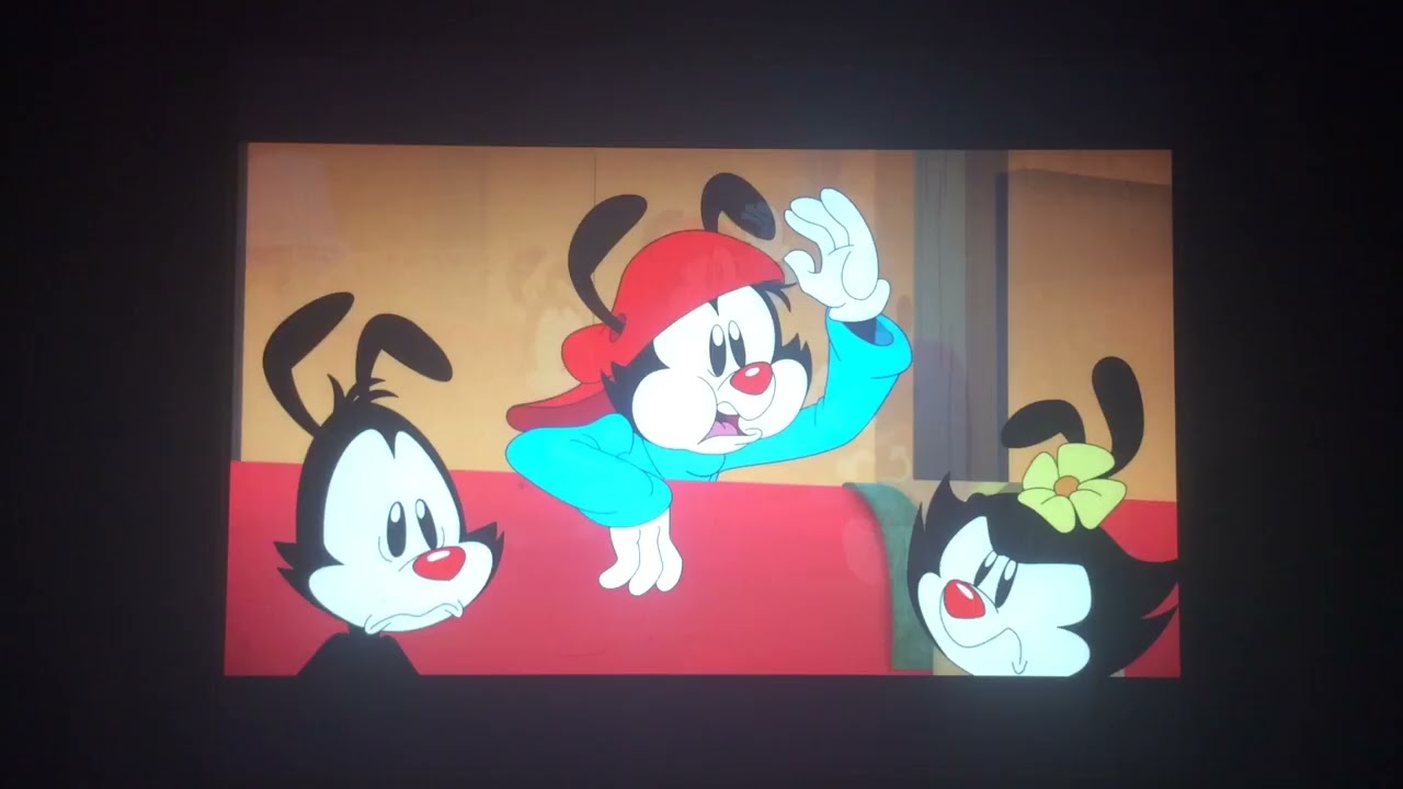 Animaniacs Warner games