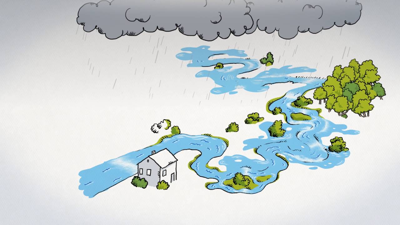 A new type of river management is coming!