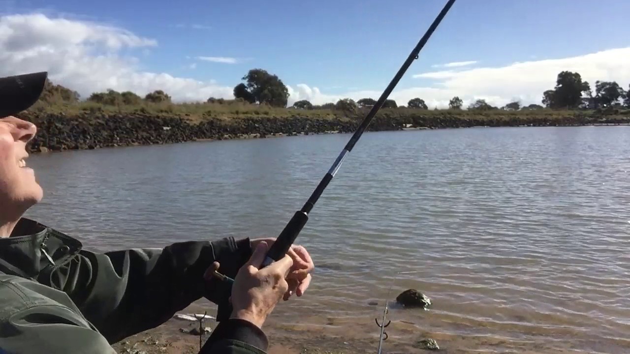 Trout fishing in Melbourne - tricks to catching more fish
