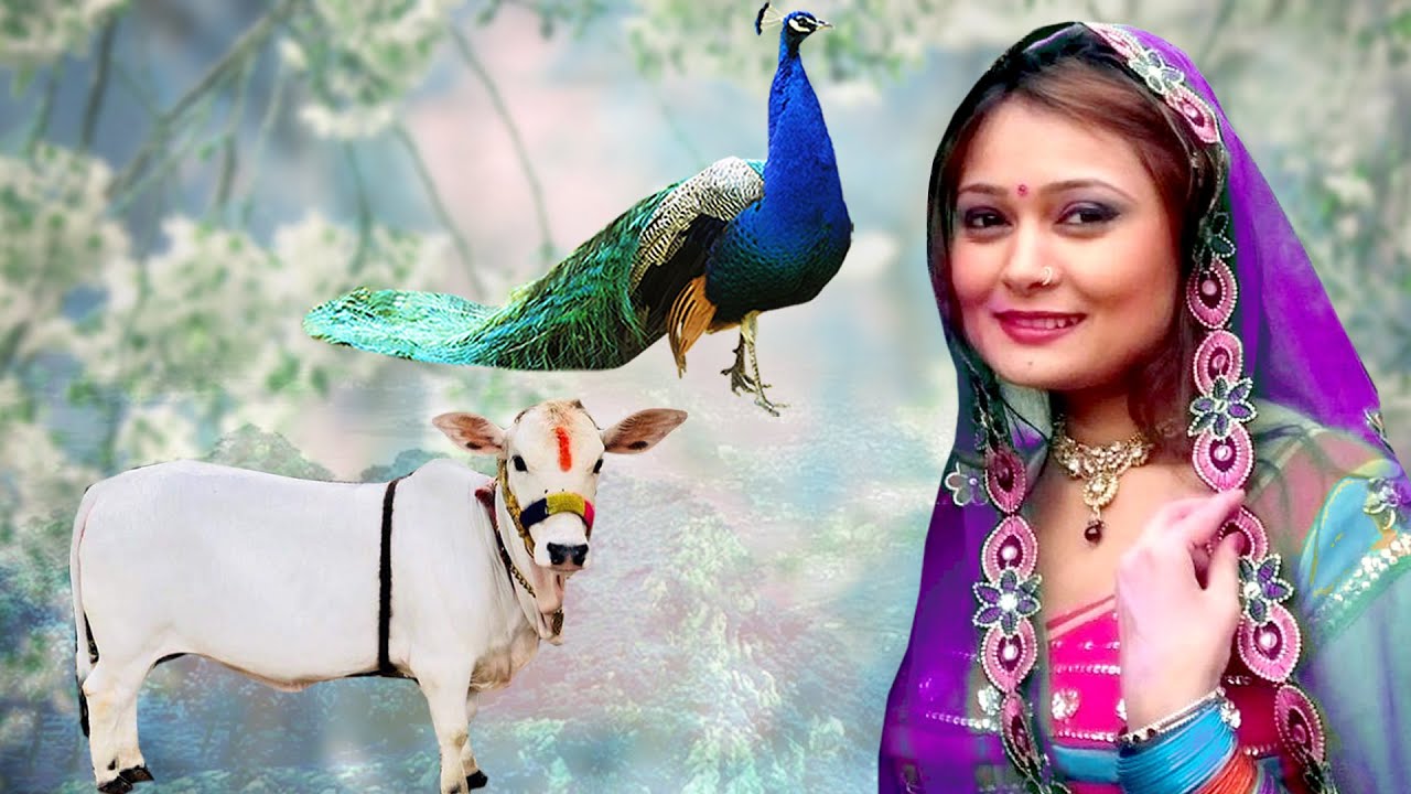 यह भजन पुरे भारत में धूम मचा रहा है ,हंसा उड़ जा Chetawani Bhajan - Hansa Udd Ja #Ramkumar_Maluni