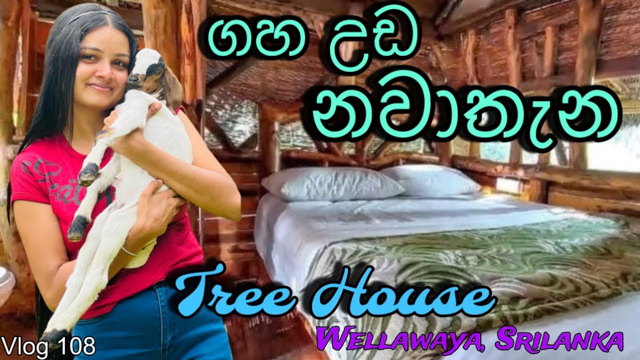 ගහක් උඩ රැයක් | Sayon River Cottage | 10% discount | Hotel review | 20 days trip ​⁠​⁠