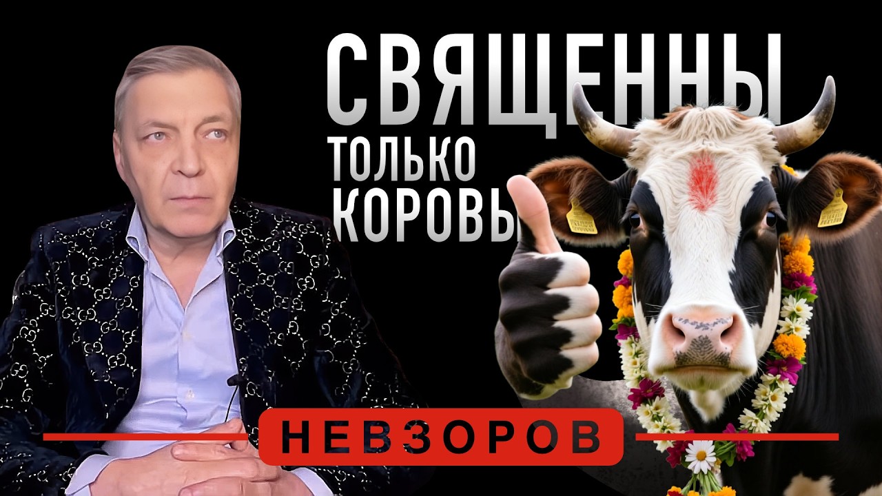 Священные коровы и сжигание людей #невзоров
