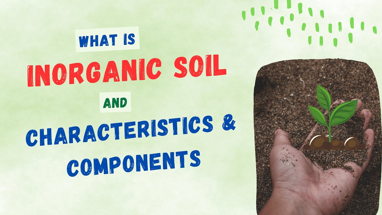Inorganic Soil and Examples Of Inorganic Soil