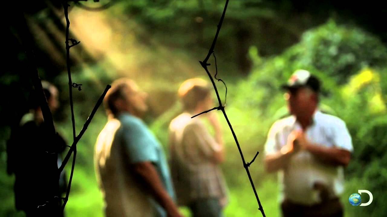 Special Brand of Outlaw | Dixie Mafia