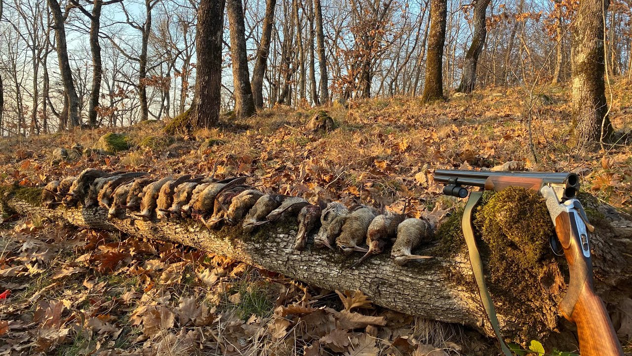Woodcock hunting with ShotKam/ Лов на бекас с ShotKam сезон 23/24