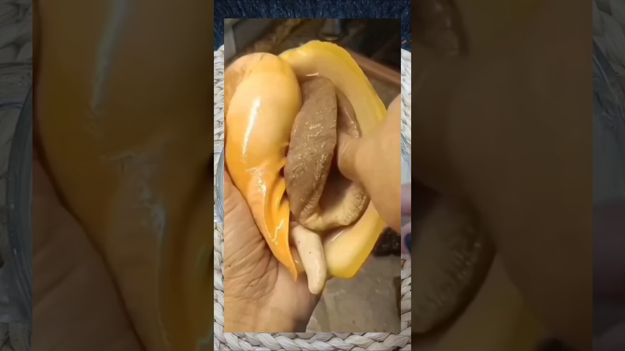كنز حصرى للرجال والنساء للتخلص من تسوس الاضرس وتبييض الاسنان فى دقائق