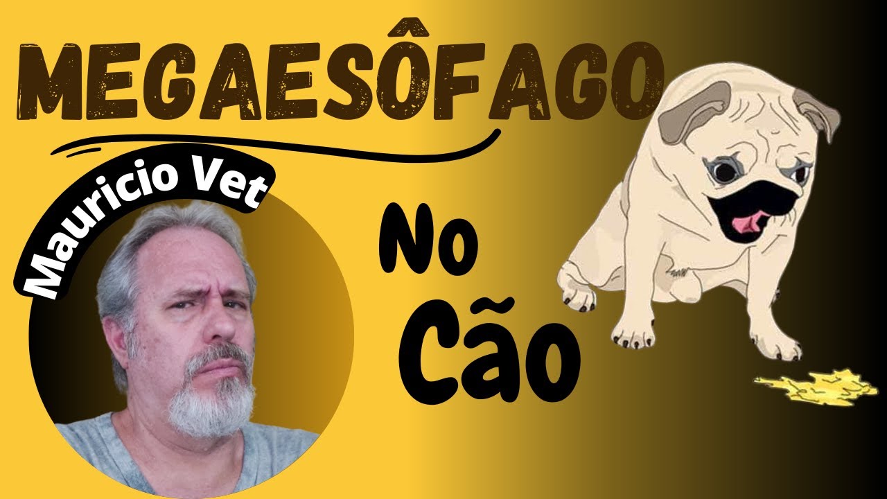 MEGAESOFAGO NO CÃO -  UM PROBLEMA CRÔNICO DE DIFÍCIL RESOLUÇÃO