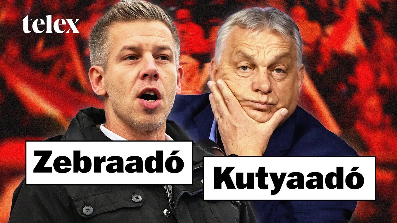 Orbánnak Lendvai Ildikó, Magyarnak Rogán jutott eszébe Nyíregyházán