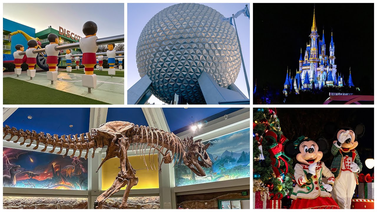 Disney Wish | November 2024 | Part 3 | Universal Studios and Walt Disney World