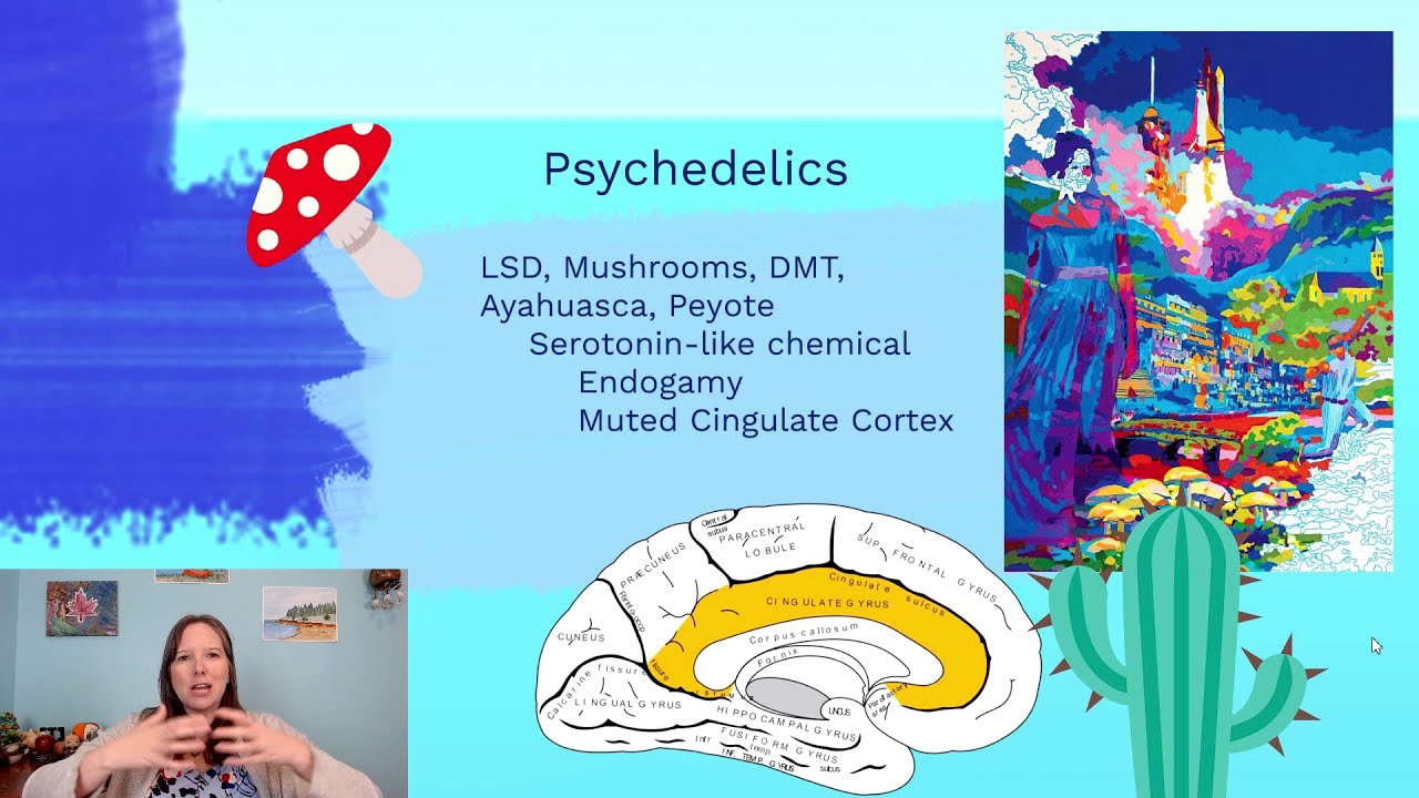 Psychedelics: Intro Psychology, Consciousness #9