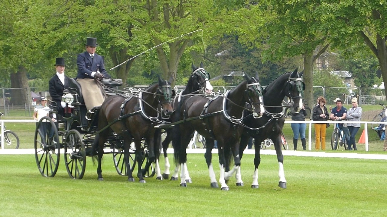 EXELL Boyd AUS, Windsor 2017, CAIO4# H4, Dressage 11 05