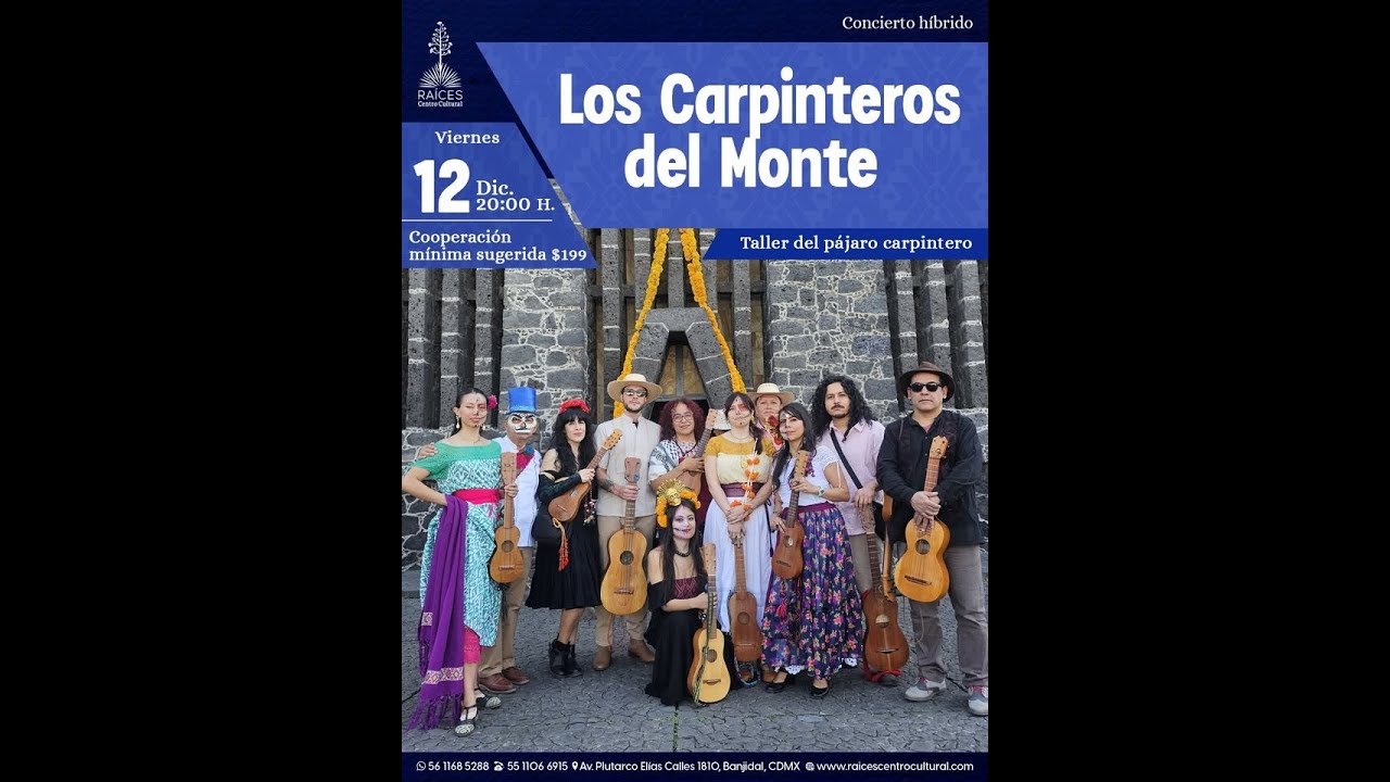 Los Carpinteros del Monte Taller del pájaro carpintero