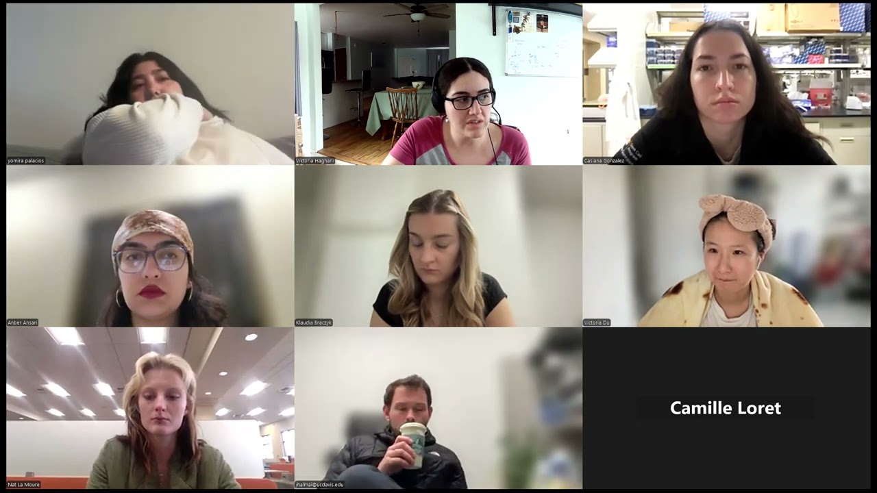 Python Focus Group Session 2: File and Directory Manipulation in UNIX