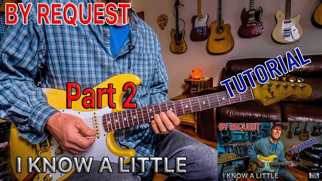 I KNOW A LITTLE (Part 2) Tutorial (By Request) Lynyrd Skynyrd