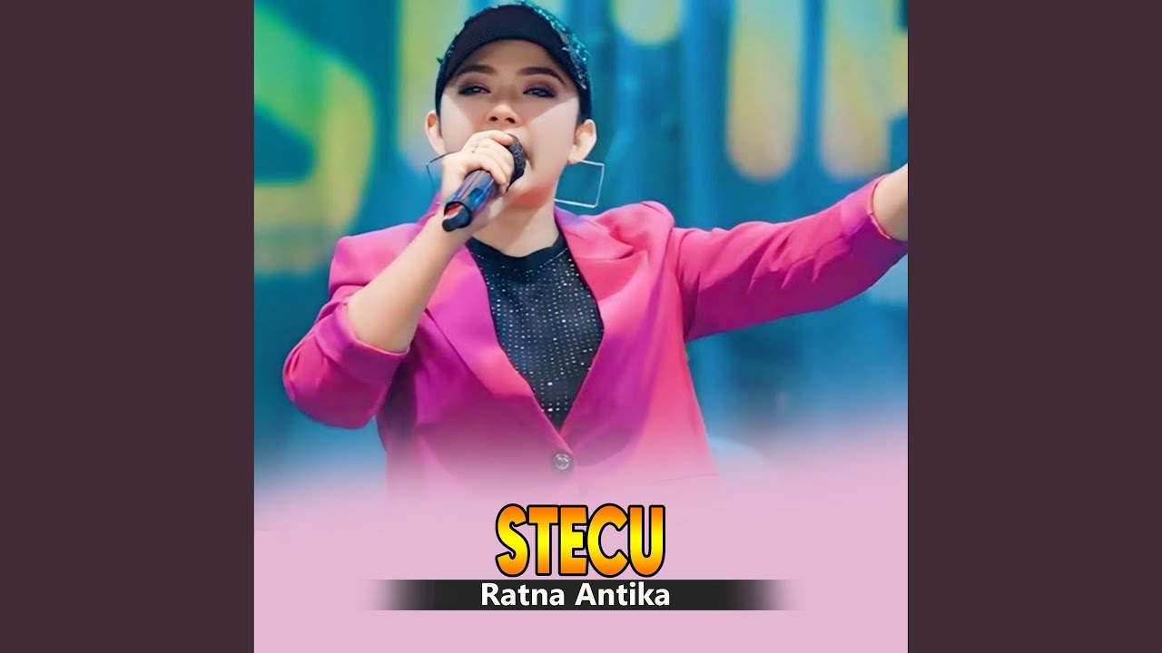 Stecu