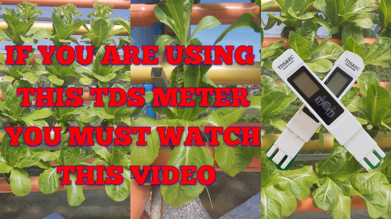 Easy Calibration of TDS meter | Watch this video before it's too LATE | Hydroponic farming at home