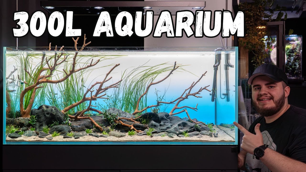 300L Fluss Aquascape bepflanzen – Mein größtes Aquascape im Studio!