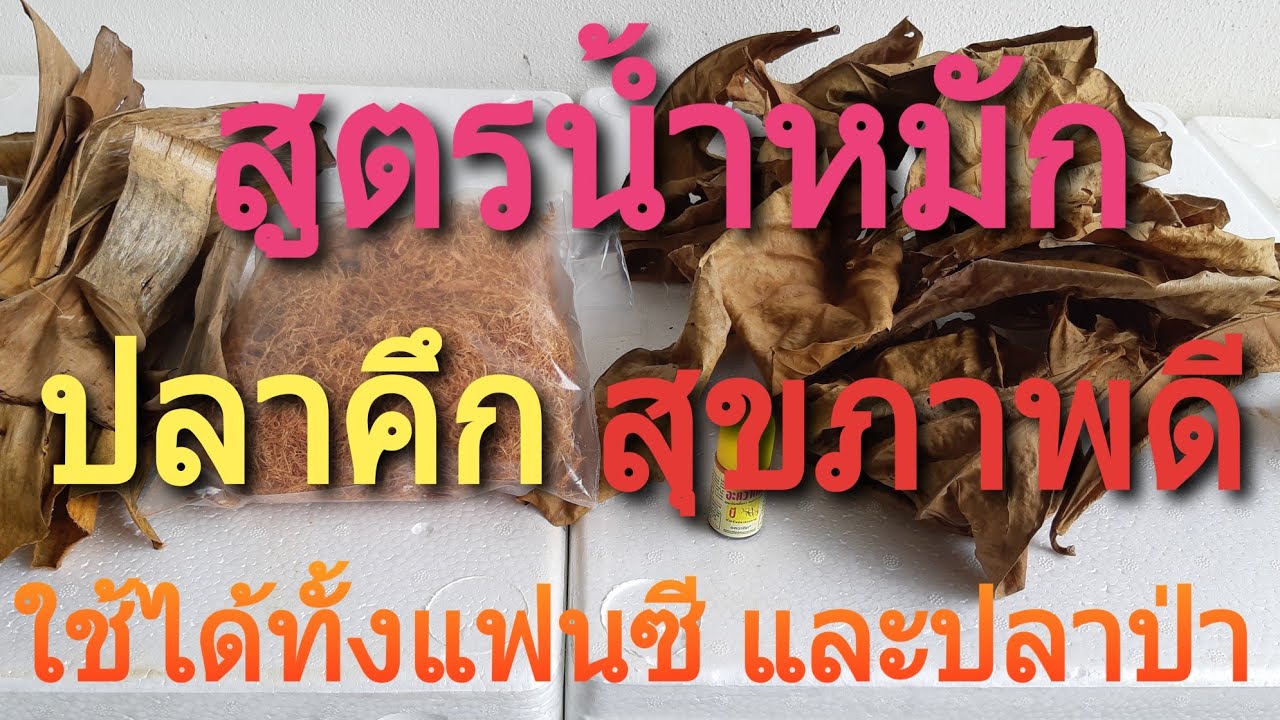 สูตรน้ำหมัก  ช้วยให้ปลาคึก สุขภาพดี สีลอกไว  Marinade recipe for raising betta fish