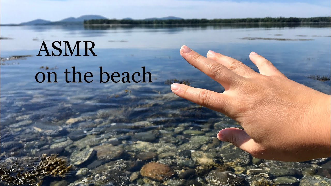 ASMR Walk on the Beach 🐟Water Sounds (unedited lofi) soft spoken
