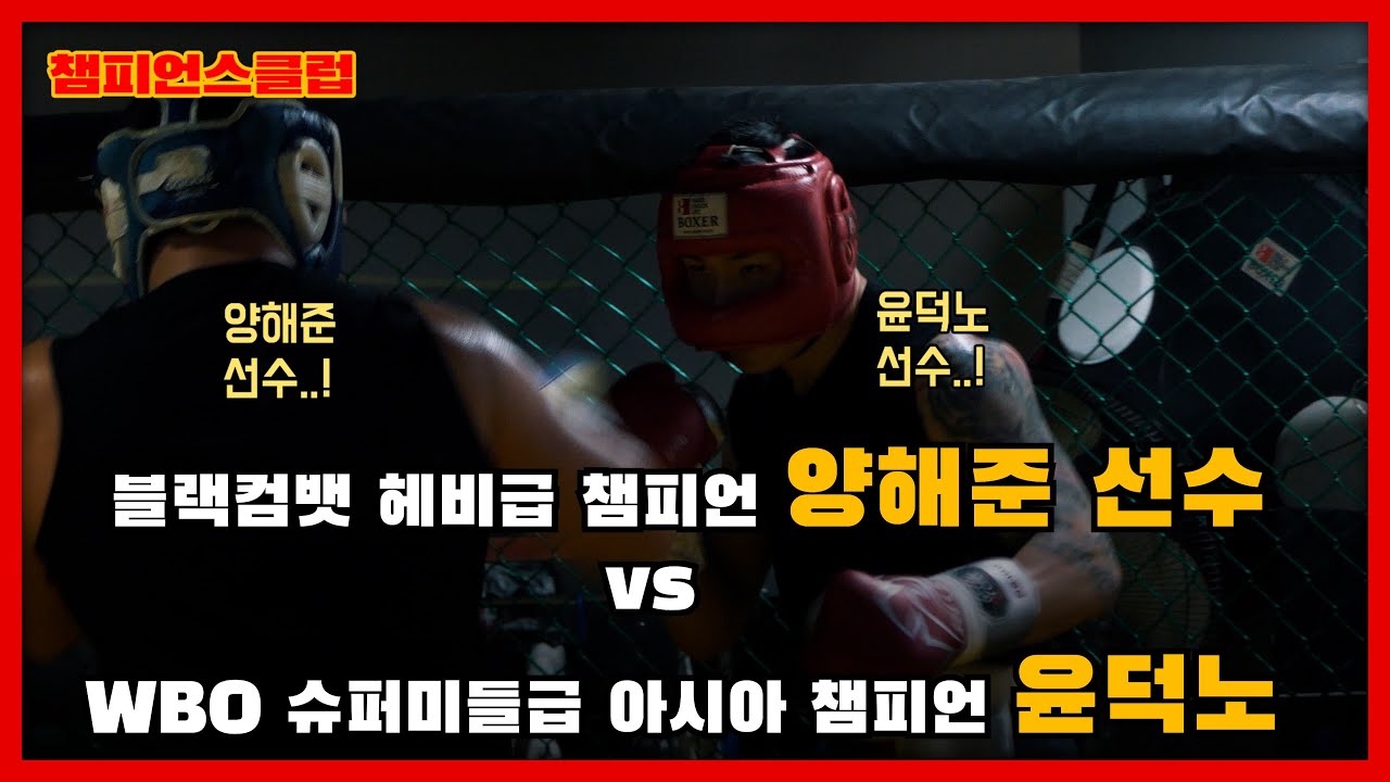 블랙컴뱃 헤비급 챔피언 양해준 선수와 스파링을 다녀왔습니다 I WBO 복싱 슈퍼미들급 아시아 챔피언 윤덕노 I #챔피언스클럽