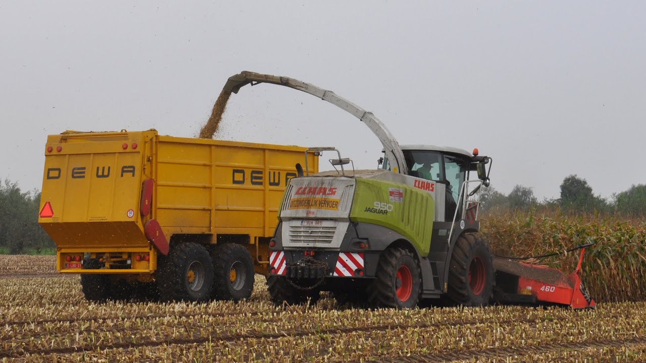 Claas Jaguar 950 - Loonw. Luc Willems - mais hakselen 2014