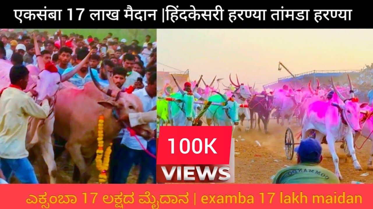 17ಲಕ್ಷದ ಎಕ್ಸಂಬಾ ಮೈದಾನದ || एकसंबा 'A' 17 लाख मैदान |hind kesari haryana #shavakar race #bailgada #cow