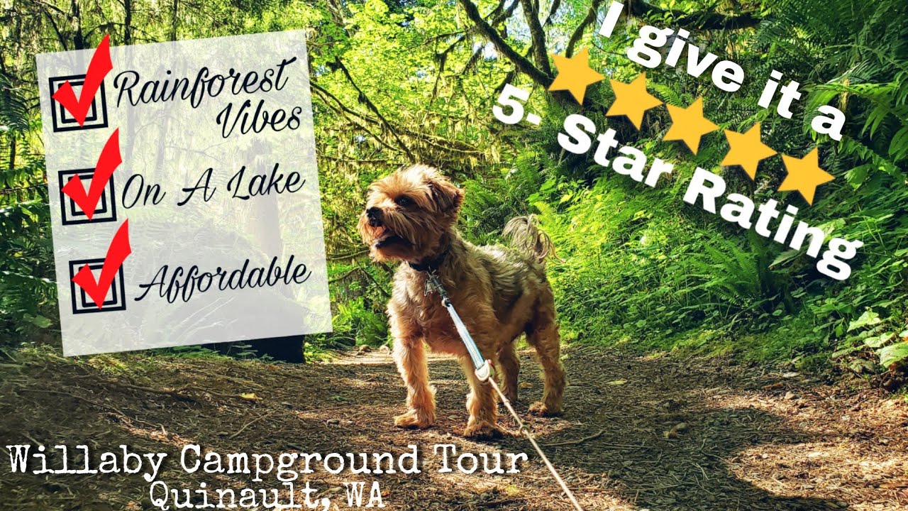 Campground Tour In The Olympic National Forest | Willaby Campground on Lake Quinault in Washington