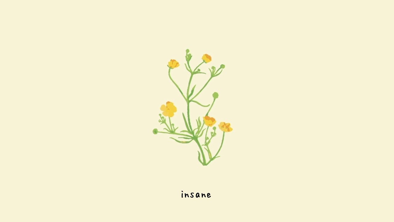 gnash - insane (lyric video)