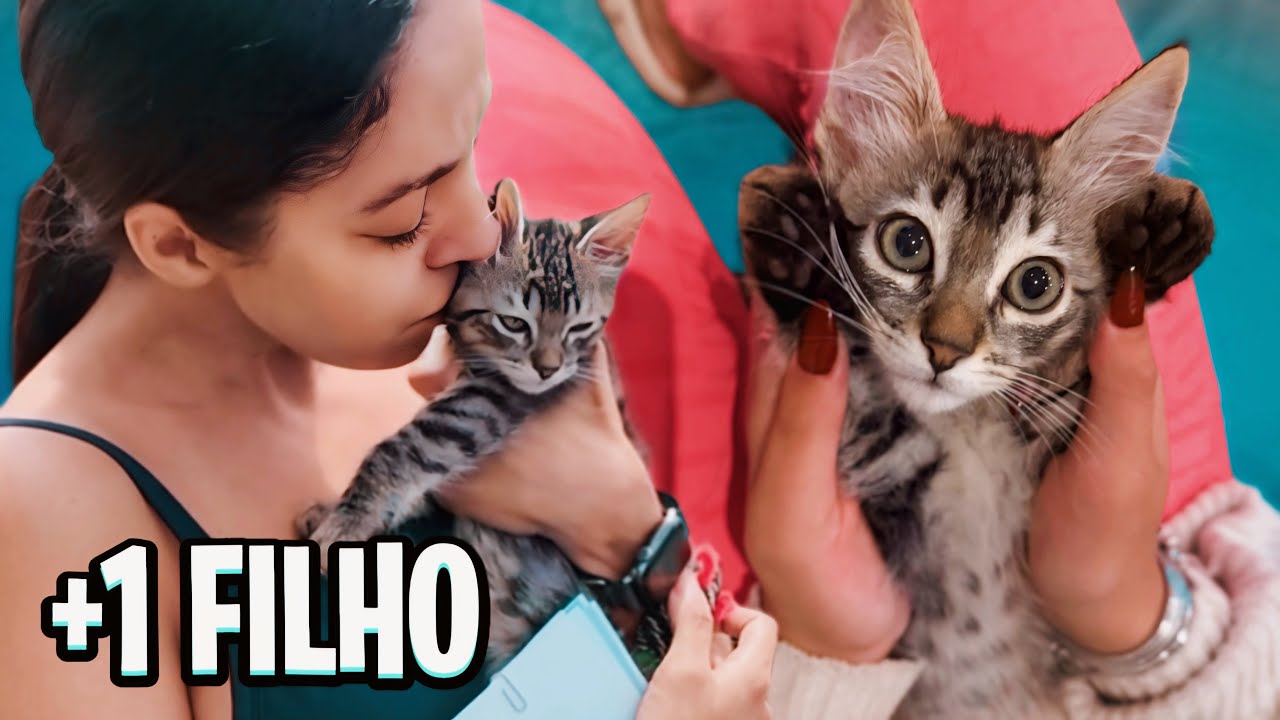 ADOTAMOS UM NOVO GATO!! 🙀 Ele s&oacute; quer ficar com a Valen Vlogs?!