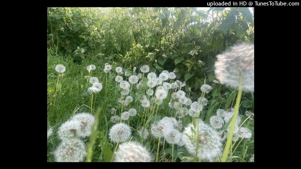 dreamy ambient chinapoet type beat