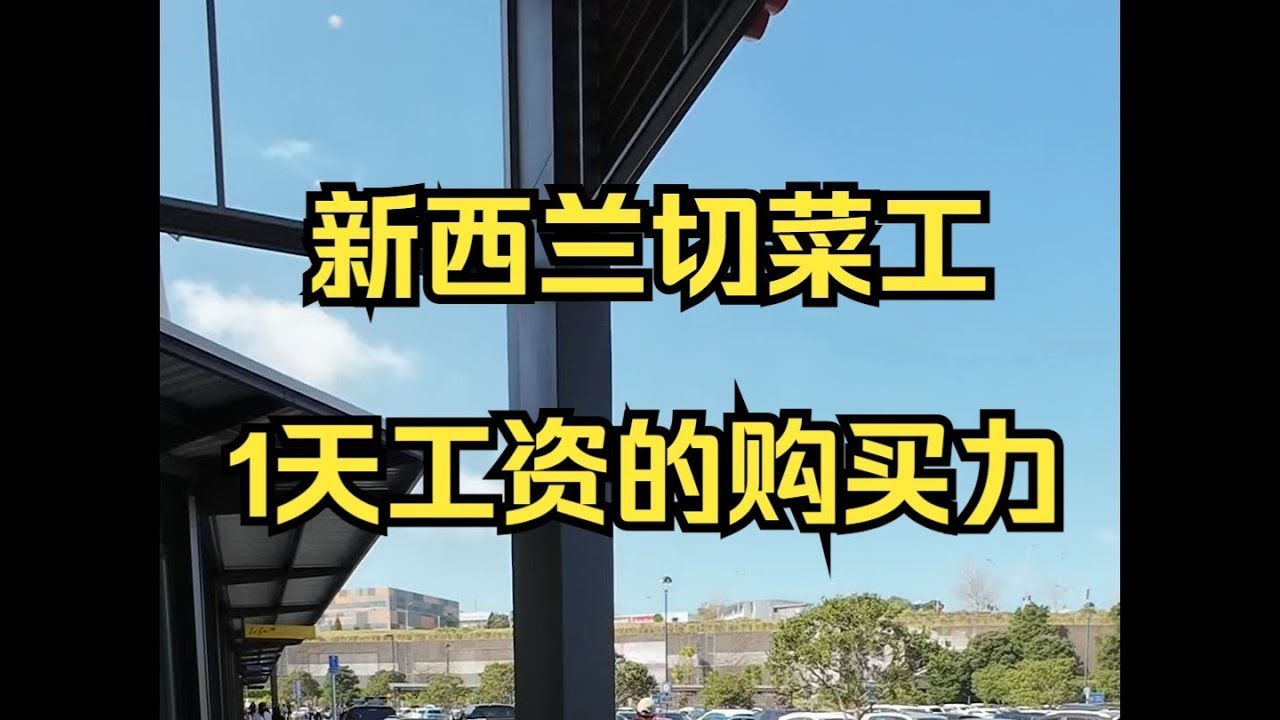 新西兰切菜工，1天工资能买多少东西？--户晨风全球购买力系列