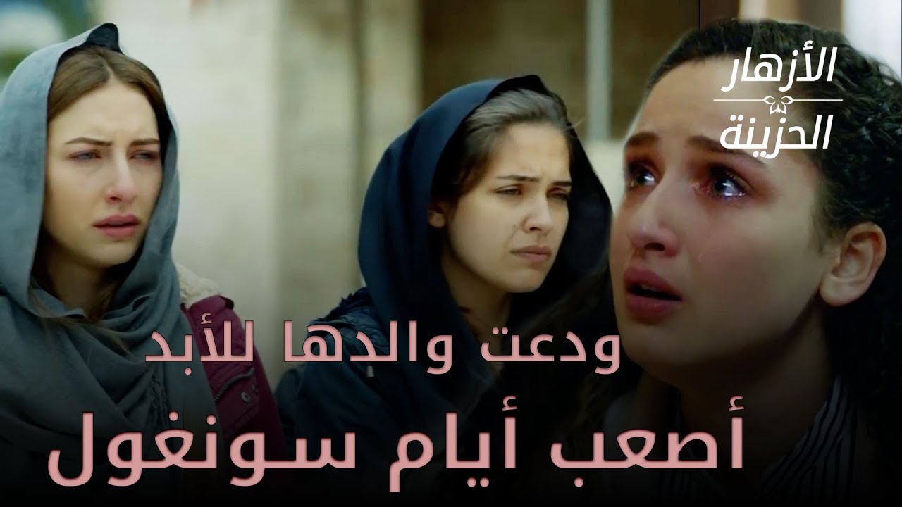 اللحظة التي ودعت والدها إلى الأبد - الأزهار الحزينة