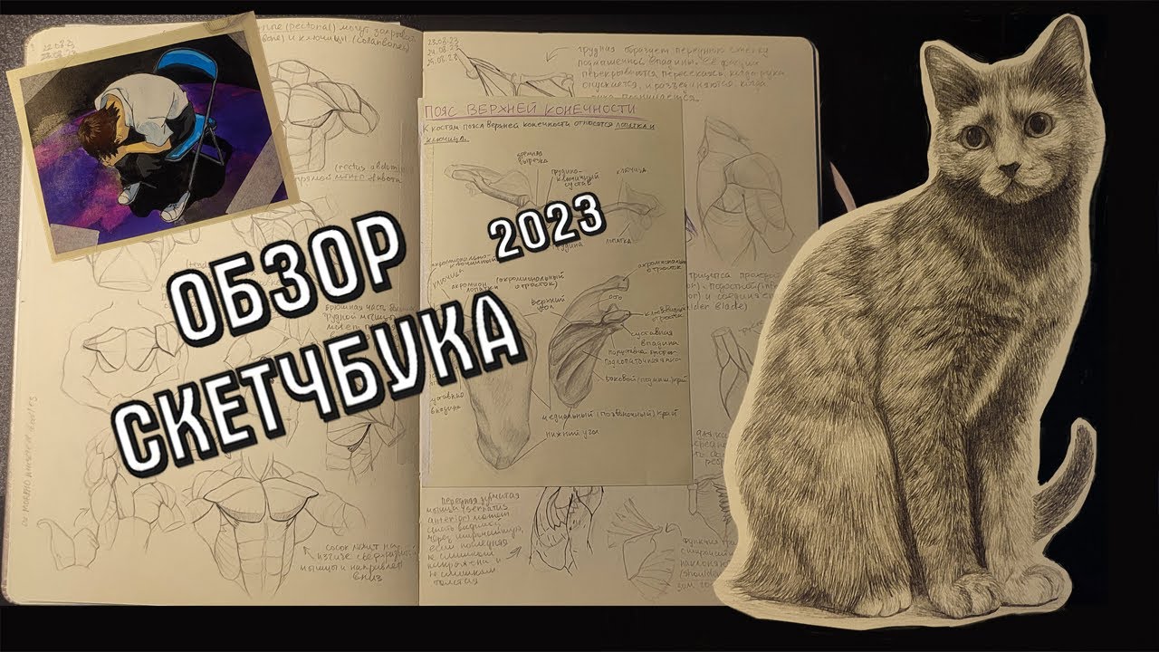 обзор скетчбука 2023 | артблок и анатомия | sketchbook tour 2023