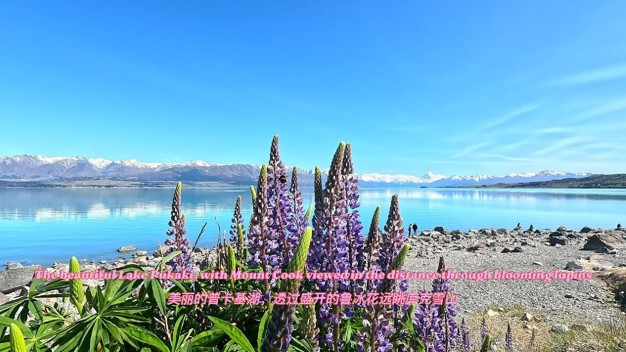 #travel # driving tour # New Zealand # Lake Pukaki