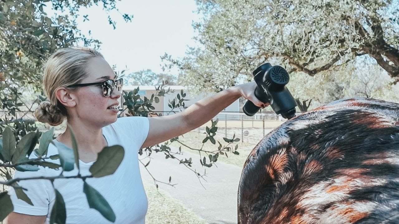 MUST HAVE FOR HORSE OWNERS! // HORSE OWNERSHIP TIPS!