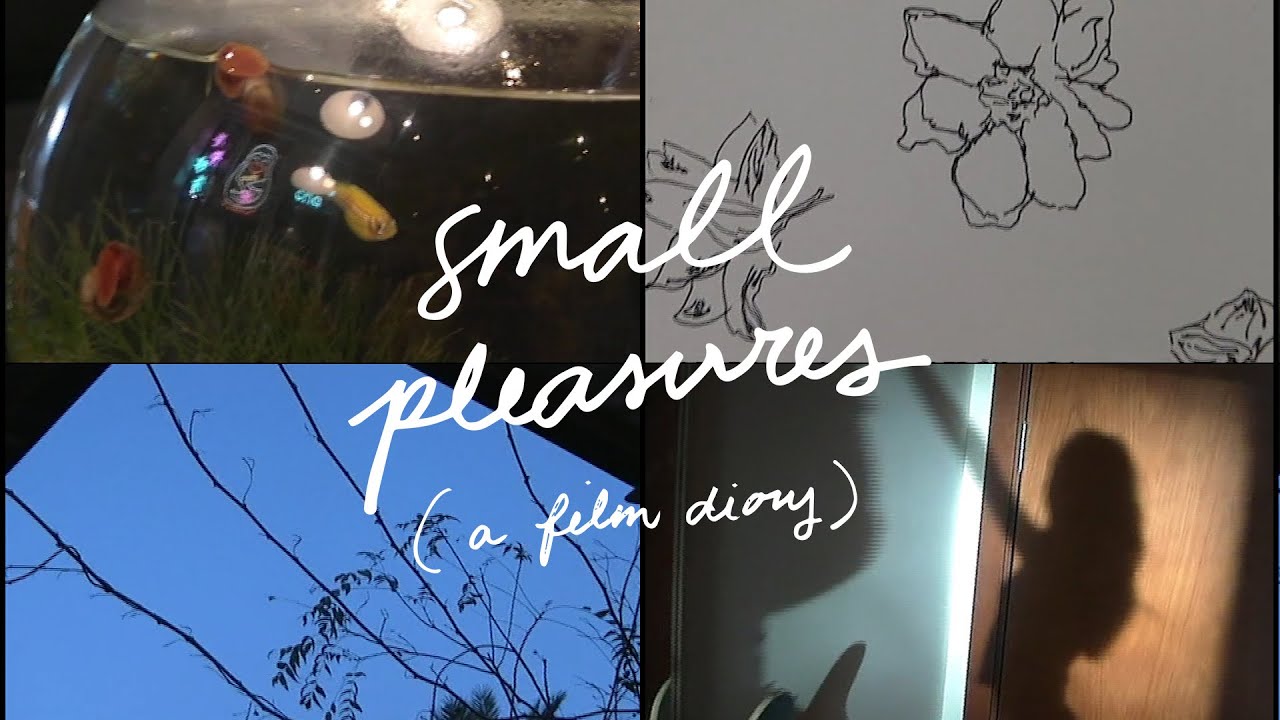 small pleasures | a film diary 📹